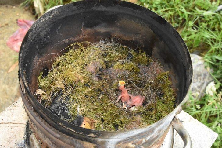 Gözlerine inanamadı! Semaverin içinden kuş yuvası çıktı G2