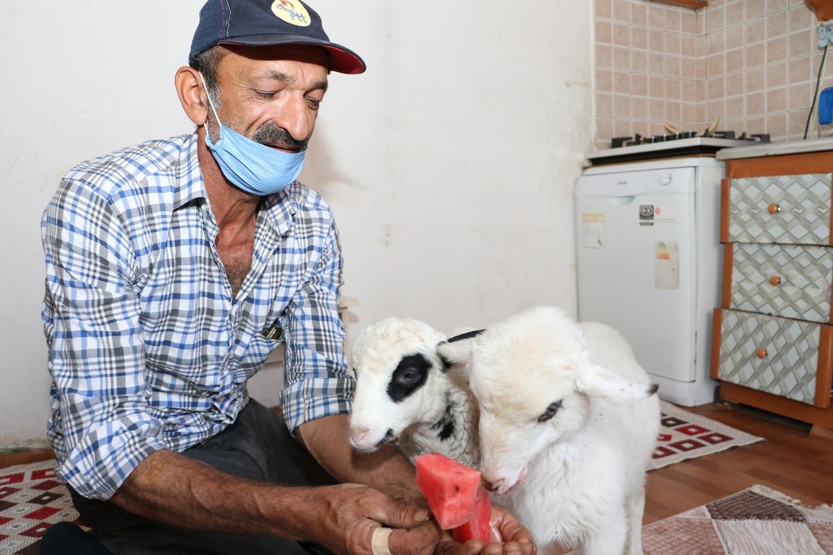 'Garip' ve '&Ouml;ks&uuml;z' kardeşler ailenin birer ferdi oldu