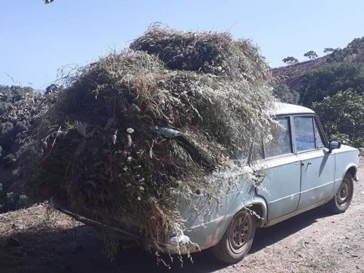 Bir zamanlar makam arabası idi, şimdi k&ouml;yl&uuml;lerin eli ayağı oldu
