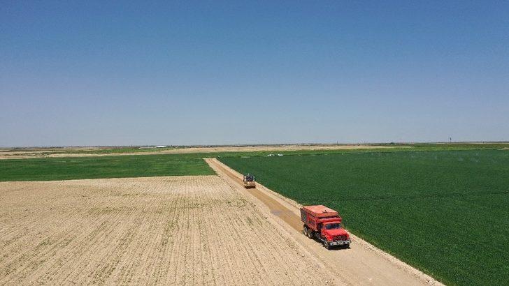 DSİ, toplulaştırma çalışmalarıyla çiftçiye güç katıyor G3