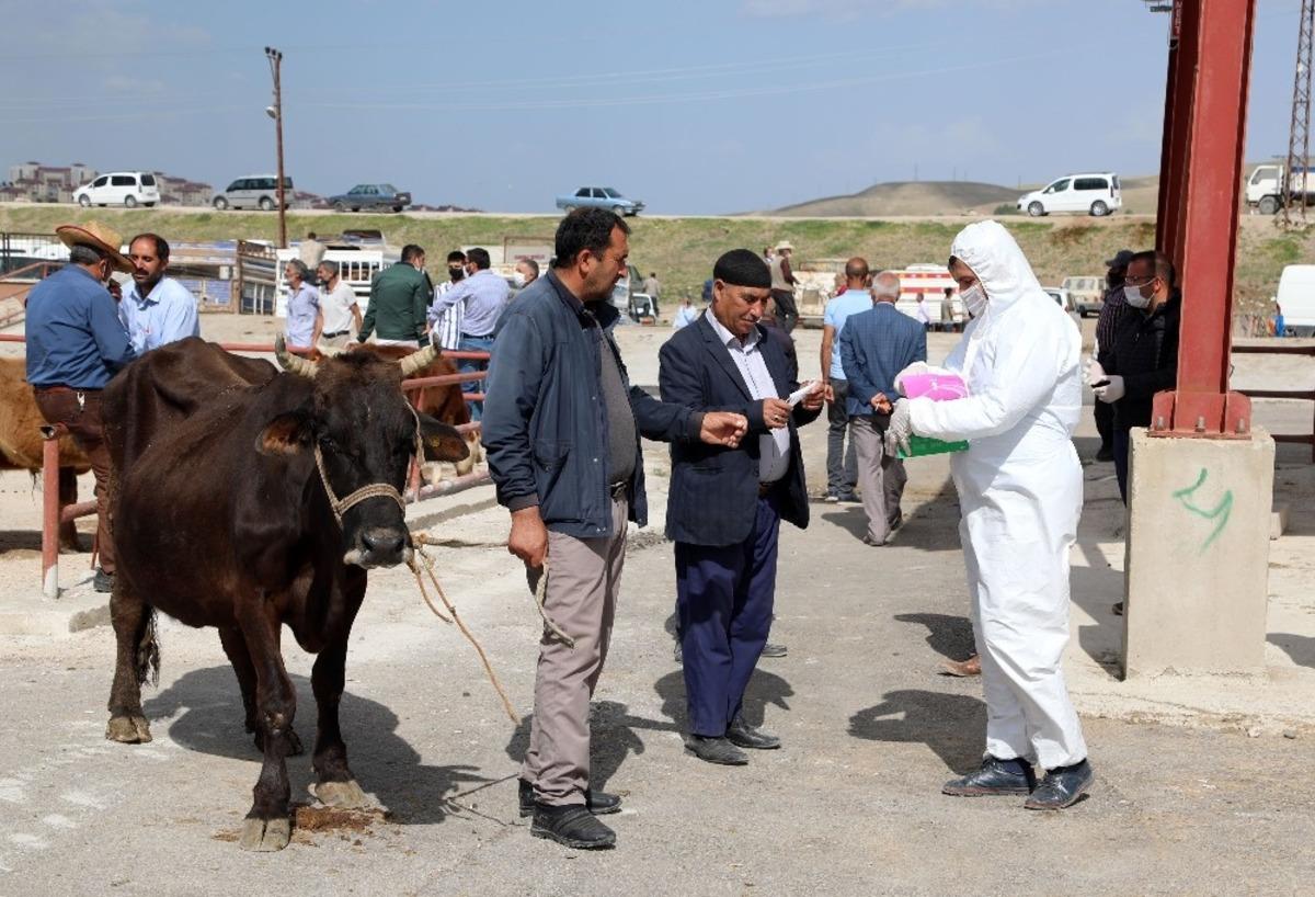 Hayvan pazarı hizmete a&ccedil;ıldı