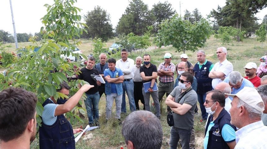 Mersin&rsquo;de vatandaşlara fidan ve ağa&ccedil; bakımı eğitimi