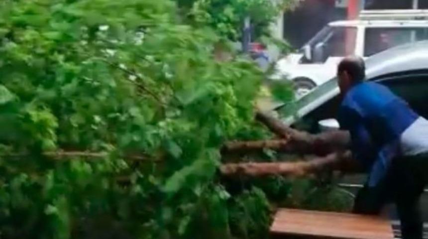 &Ccedil;atak&rsquo;ta şiddetli yağmur ve fırtına ağa&ccedil; devirdi