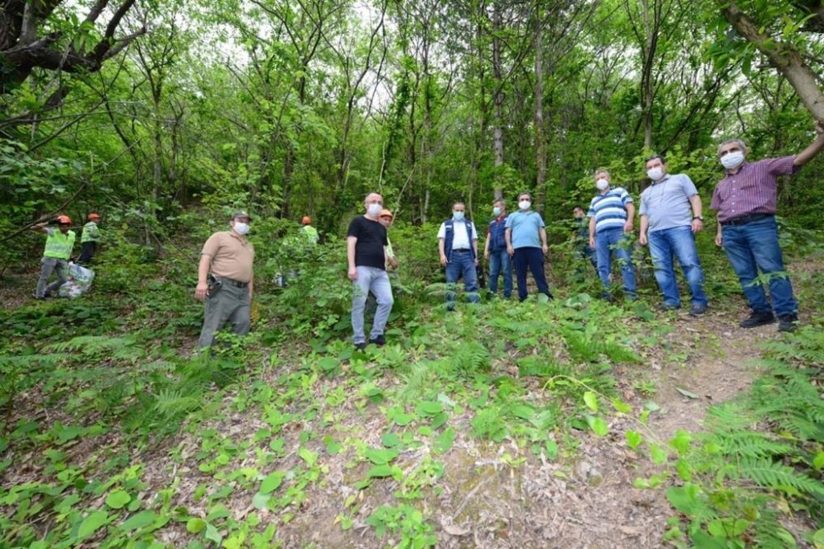 Kestane Gal Arısı ile m&uuml;cadele &ccedil;alışmaları yerinde incelendi