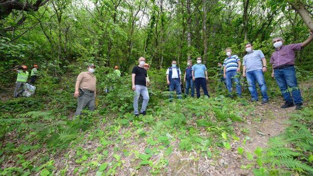Kestane Gal Arısı ile mücadele çalışmaları yerinde incelendi