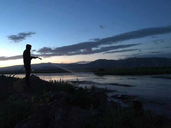 Çaldıran Belediyesinden haşereyle mücadele çalışması G5