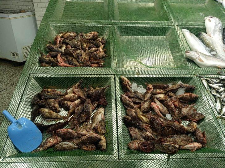 Tezgahların yeni gözdesi iskorpit oldu G3