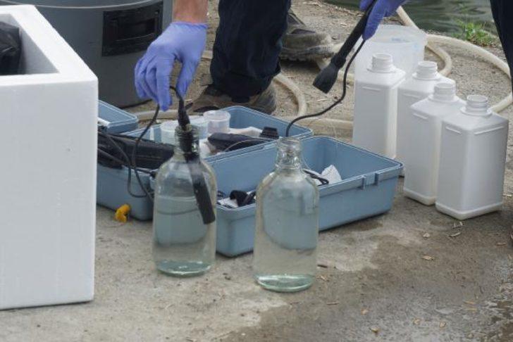 Haliç'teki görüntü sonrası Bakanlık harekete geçti G4