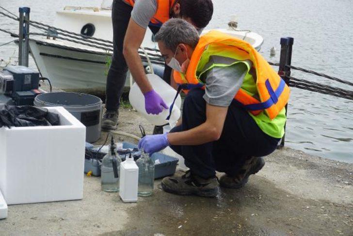 Haliç'teki görüntü sonrası Bakanlık harekete geçti G5