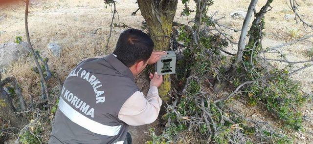 Kilis ormanlarına fotokopan yerleştiriliyor