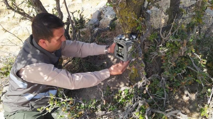 Kilis ormanlarına fotokopan yerleştiriliyor