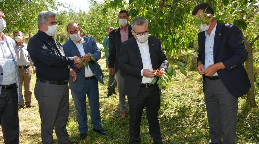Niğde Valisi Şimşek, dolu zararı gören bahçeleri inceledi