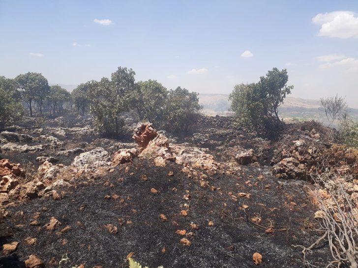 Mardin’de ormanlık alanda korkutan yangın G2