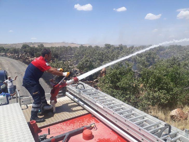 Mardin’de ormanlık alanda korkutan yangın G3