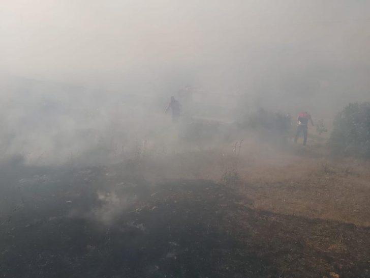 Mardin’de ormanlık alanda korkutan yangın G4