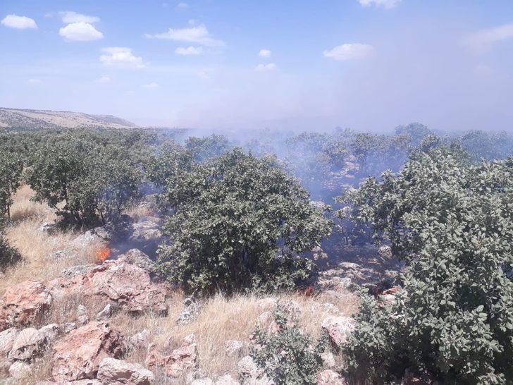 Mardin’de ormanlık alanda korkutan yangın G5