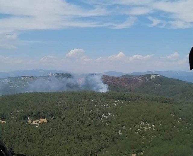 Milas’ta orman yangını