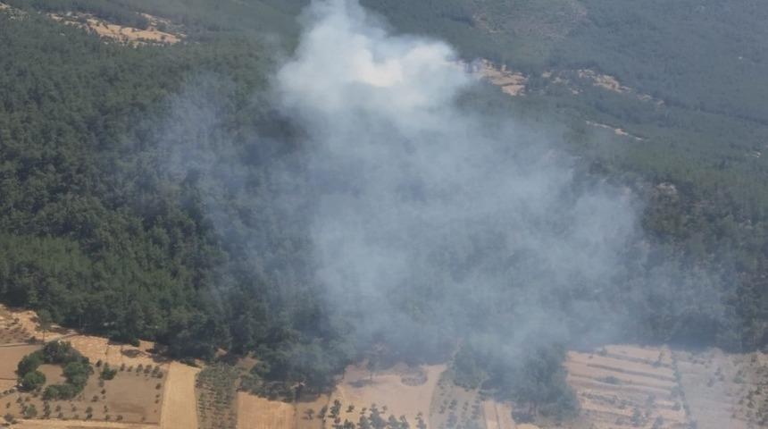 Milas’ta orman yangını