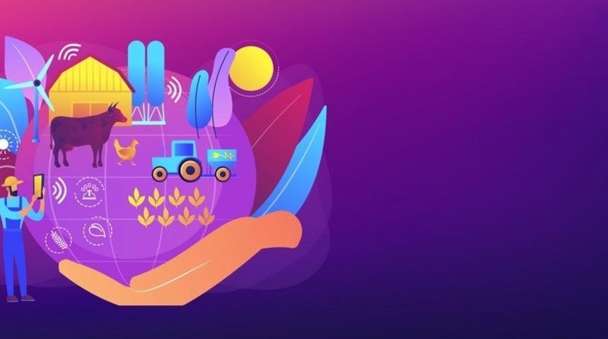 Nil&uuml;fer&rsquo;de sağlıklı gıda ekosistemi hayat buluyor