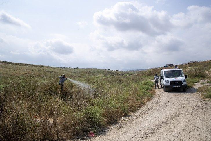 Mersin’de ilaçlama çalışmaları sürüyor G1