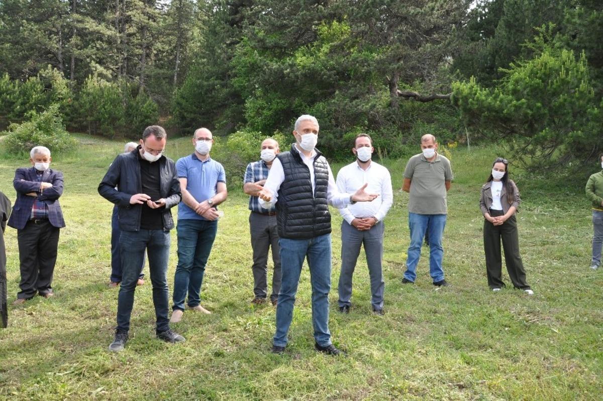 G&ouml;lc&uuml;k Yaylası&rsquo;nda &ouml;ncelik doğa