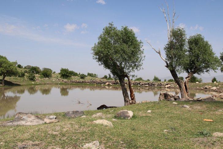 Göller Bölgesine doğal mesire alanı G2