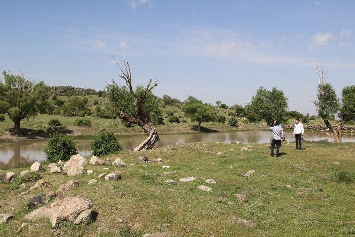 Göller Bölgesine doğal mesire alanı G3