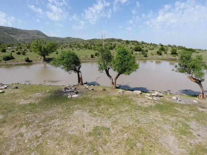 Göller Bölgesine doğal mesire alanı G4