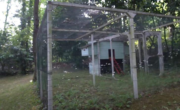 Eser Yenenler ve Berfu Yenenler İstanbul'u terk etti! İşte orman içindeki evleri G3