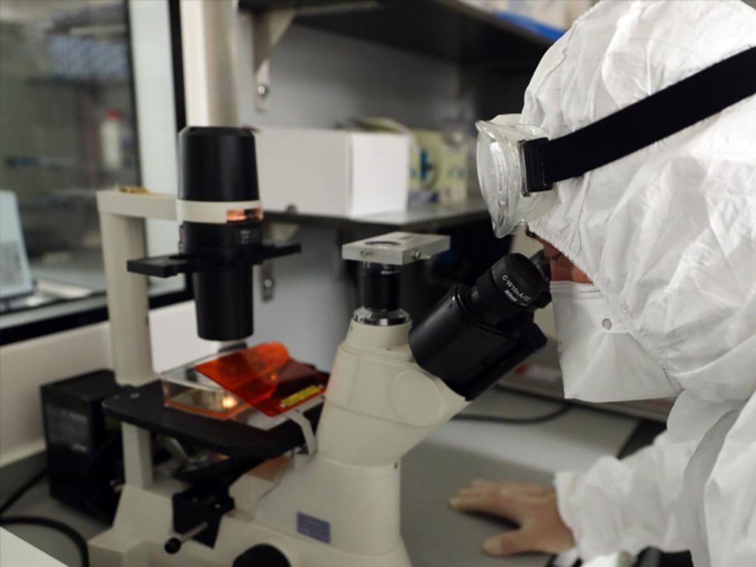 Koronavir&uuml;sle m&uuml;cadelede &ouml;nemli gelişme! Bakan Varank: G&uuml;zel m&uuml;jdeler verebiliriz