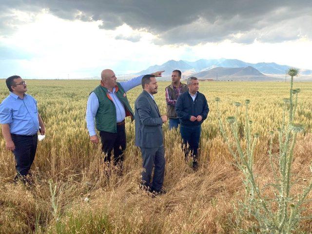 AK Parti Karaman Milletvekili Eser, dolu hasarını yerinde inceledi