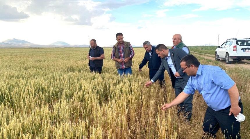 AK Parti Karaman Milletvekili Eser, dolu hasarını yerinde inceledi