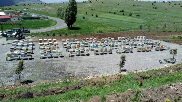 Erzurum’da bir ilk olan“DAP Bal Ormanı”nın açılışı Şenkaya’da yapıldı G3