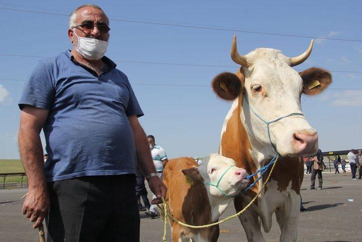 Canlı Hayvan Pazarı hizmet vermeye başladı G5