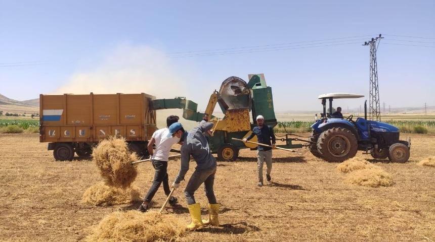Mardin&rsquo;de mercimek verimi &ccedil;ift&ccedil;inin y&uuml;z&uuml;n&uuml; g&uuml;ld&uuml;rd&uuml;