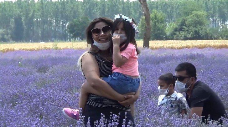 Gören tarlaya akın ediyor! G1