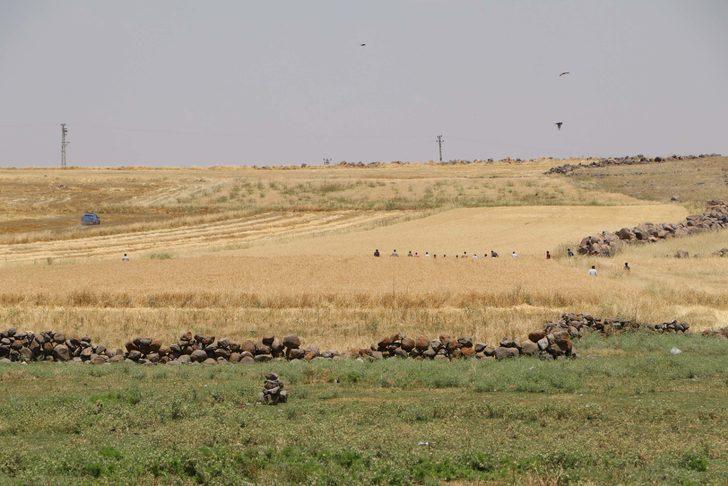 Şanlıurfa'da silahlı kavga! Ölü ve yaralılar var G4