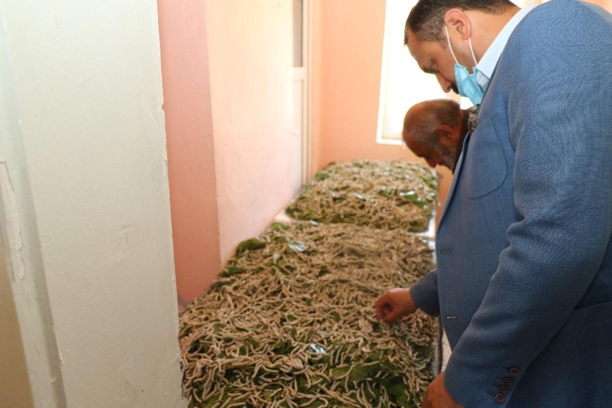 Elazığ&rsquo;da "İpekb&ouml;ceği Yetiştiriciliği" projesi