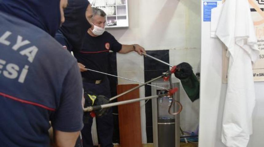 Berber dükkanında yılan paniği: Tıraş yaptığım sırada içeride tıslama sesi duydum