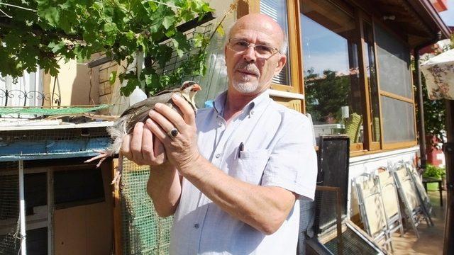 Kuşlar yüzünden hasta oldu, ancak kuş beslemekten vazgeçmedi