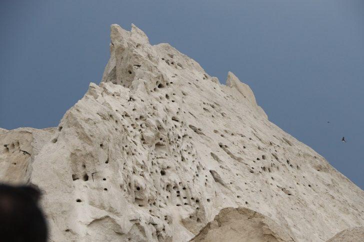 Kırlangıçlar yuva yaptığı kuma dokunmuyorlar G1