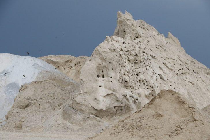 Kırlangıçlar yuva yaptığı kuma dokunmuyorlar G2