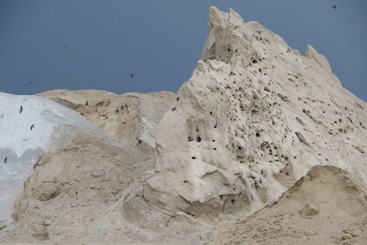 Kırlangıçlar yuva yaptığı kuma dokunmuyorlar G3