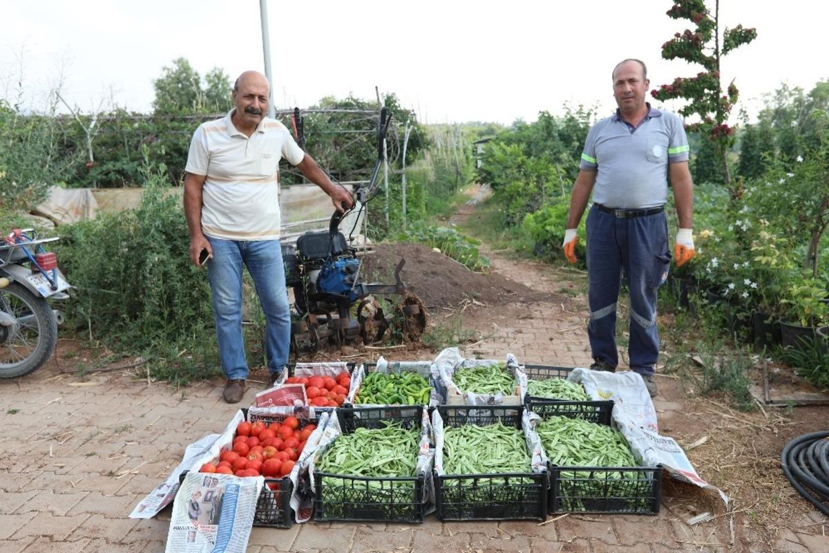 G&ouml;n&uuml;ll&uuml; serasında &uuml;retilen &uuml;r&uuml;nlerle, ihtiya&ccedil; sahiplerine yemek yapılıyor