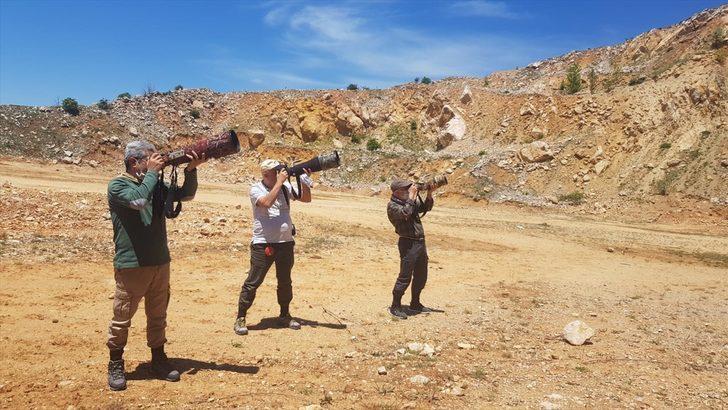 Puhu kuşunun yuva yaptığı fark edilince... Çalışmalar durduruldu! G4