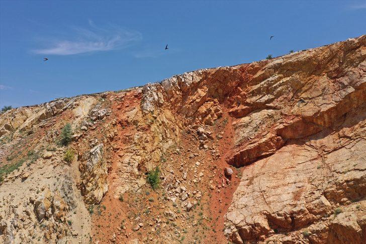 Puhu kuşunun yuva yaptığı fark edilince... Çalışmalar durduruldu! G5