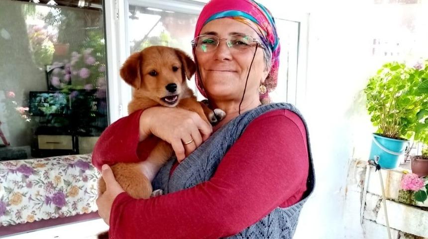 Menteşe&rsquo;de &ccedil;alınan k&ouml;pek sahibine teslim edildi