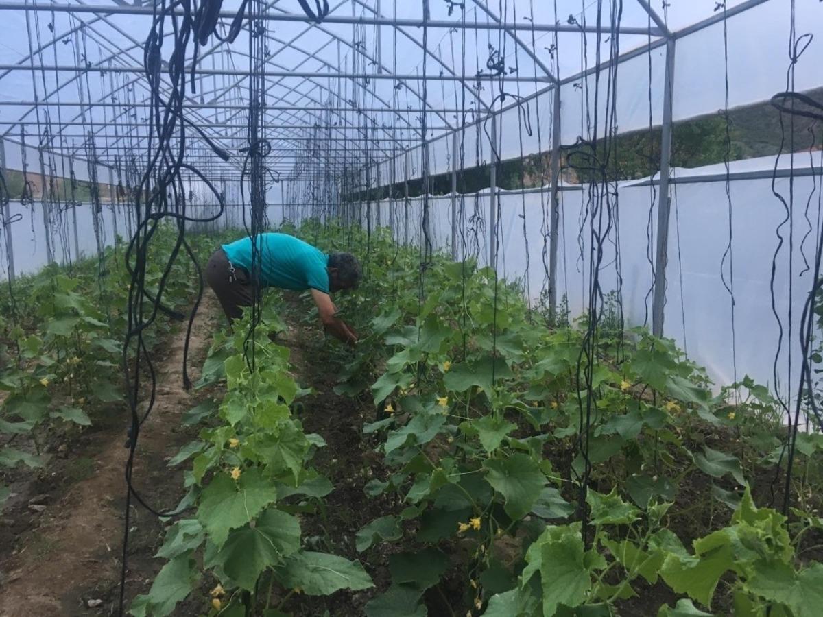 Başkan Demircan&rsquo;dan fide desteği