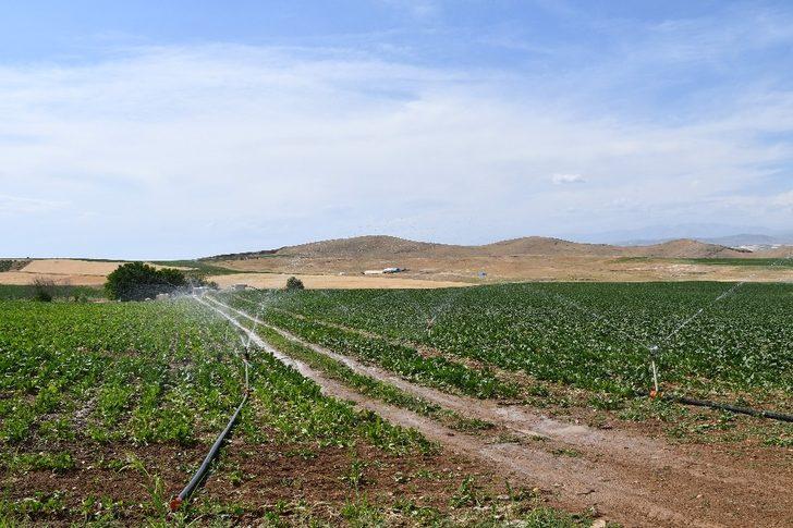 Elazığ’da 114 bin 980 dekar tarım arazisi sulanmaya başladı G2