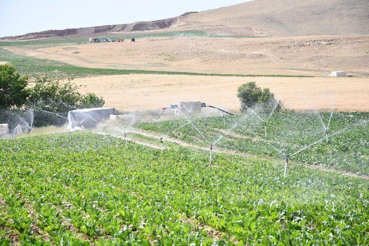 Elazığ’da 114 bin 980 dekar tarım arazisi sulanmaya başladı G4